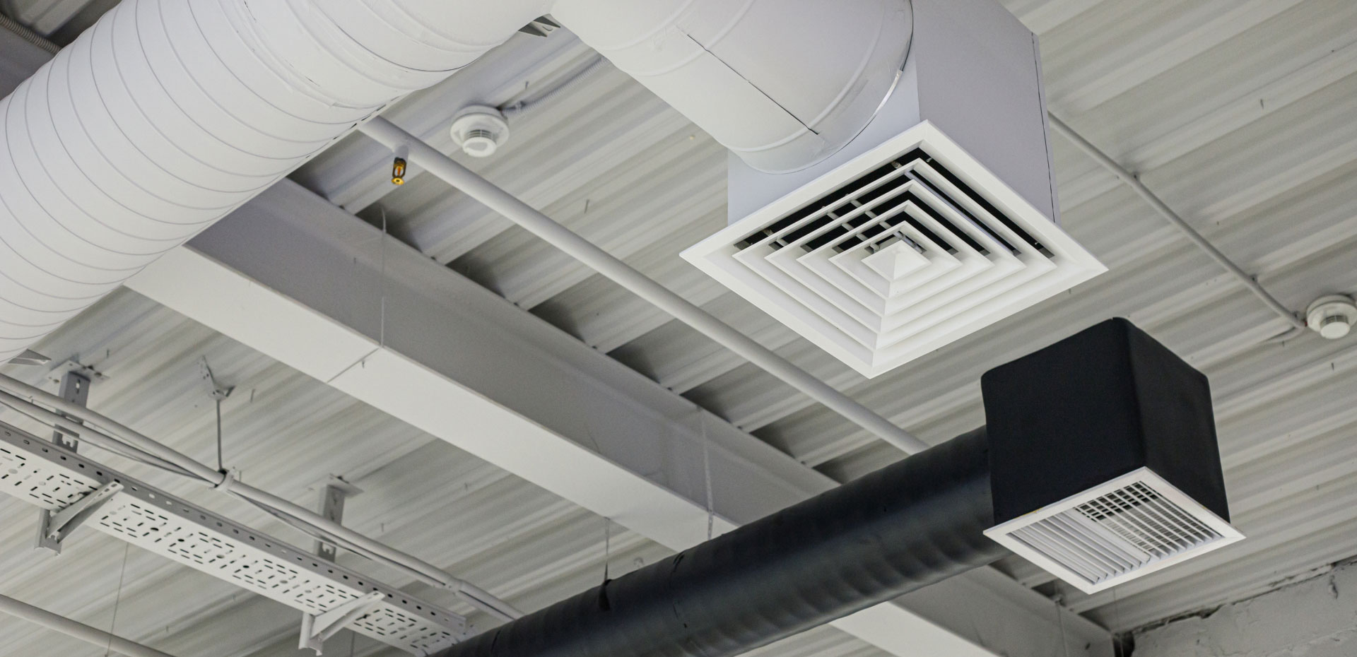 Proflex Aire