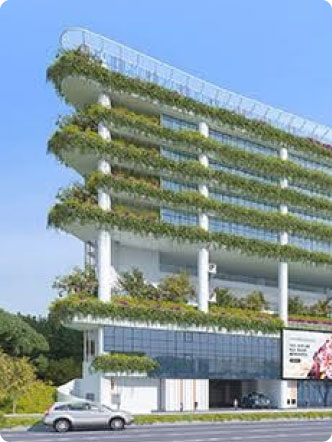 Our Projects